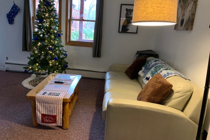 Living room with Christmas tree, couch, coffee table, and lamp.