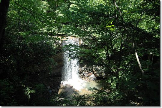 a waterfall in a forest